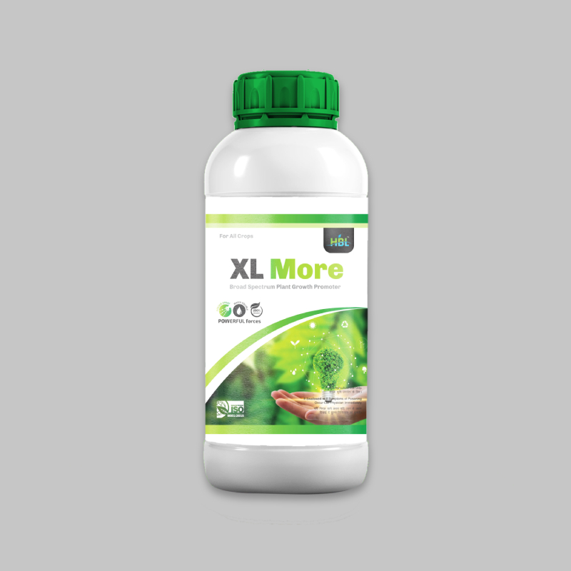 XL More – Advanced Micronutrient Blend for Crop Excellence